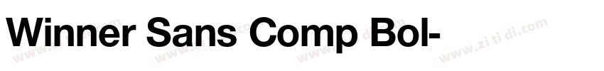 Winner Sans Comp Bol字体转换